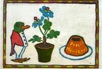 Neujahrswunsch 1909