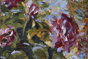 Rosen, 1906